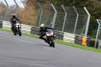 BIKES 0382