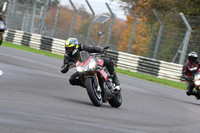 BIKES 0384