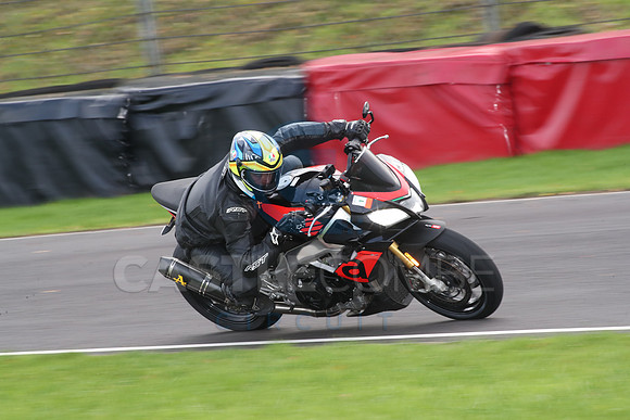 BIKES 0868