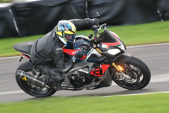 BIKES 0869