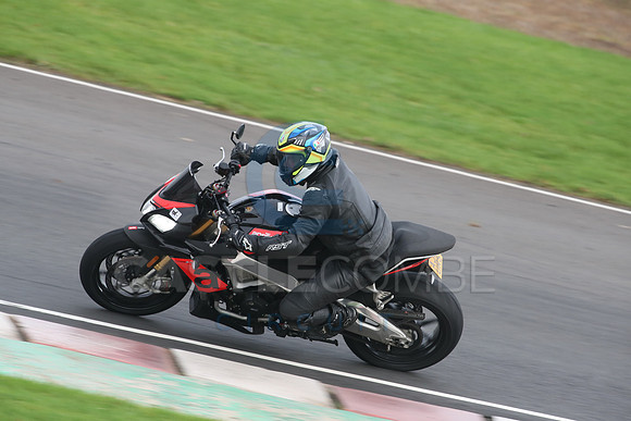 BIKES 2813