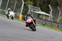 BIKES 0471
