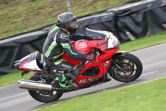 BIKES 0784