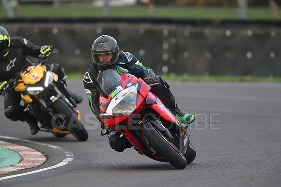 BIKES 1421