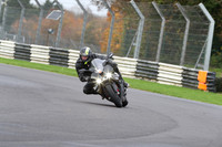 BIKES 0341