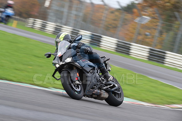 BIKES 0480