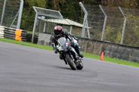 BIKES 0456