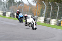 BIKES 0362