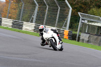 BIKES 0398