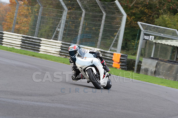 BIKES 0398