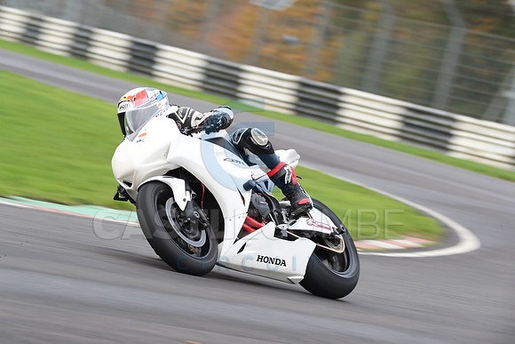 BIKES 0476