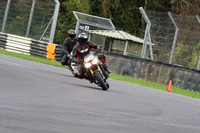 BIKES 0487