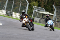 BIKES 0488