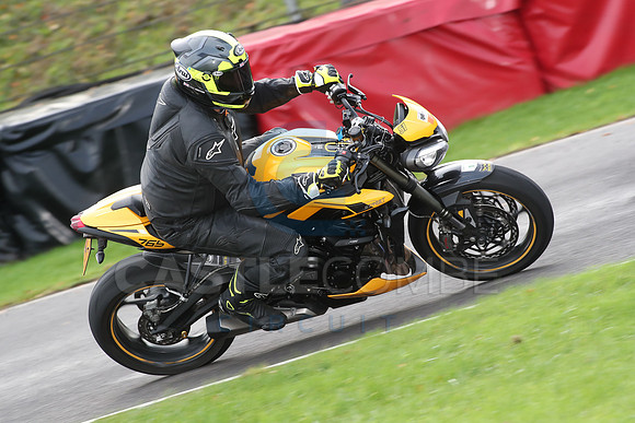 BIKES 0769