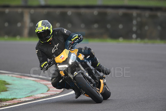 BIKES 1423