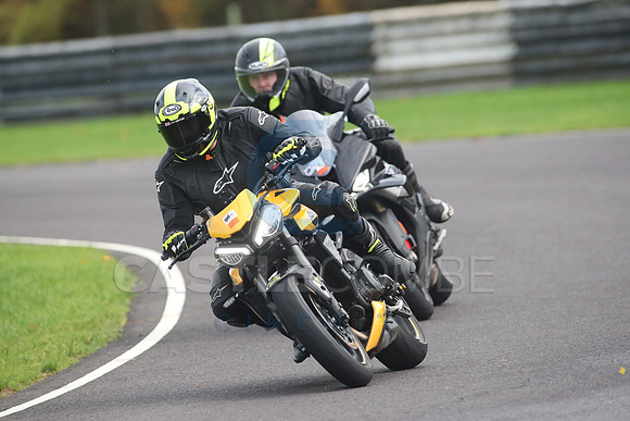 BIKES 2080
