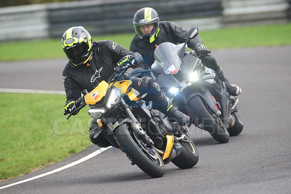 BIKES 2081