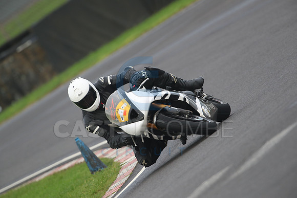BIKES 1503