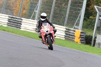 BIKES 0562