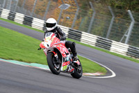 BIKES 0641