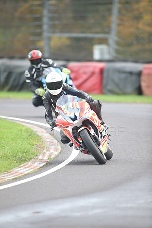 BIKES 2338