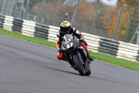 BIKES 0536