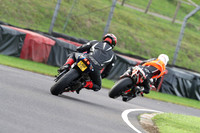 BIKES 2691
