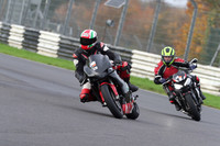BIKES 0540
