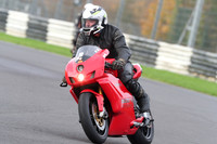 BIKES 0561