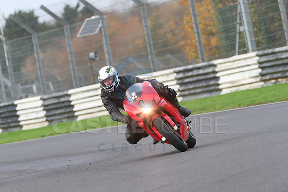 BIKES 0590