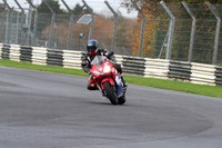 BIKES 0146