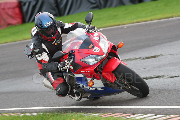 BIKES 0961
