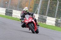 BIKES 0555