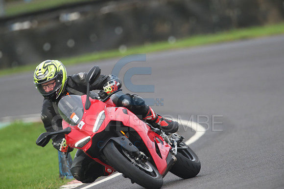 BIKES 1703