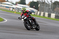 BIKES 0143