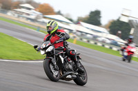 BIKES 0499
