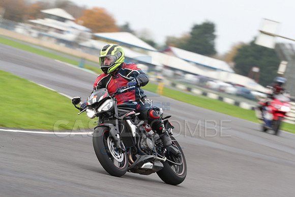 BIKES 0499