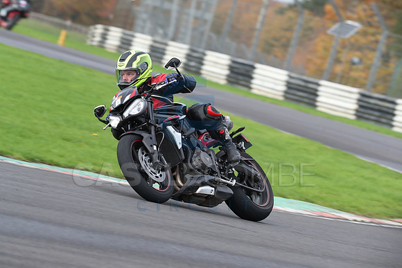 BIKES 0617