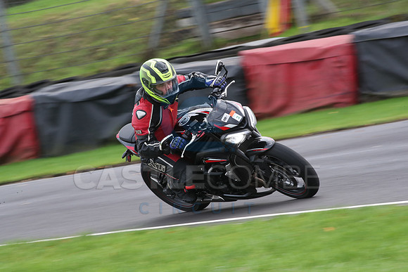 BIKES 0947