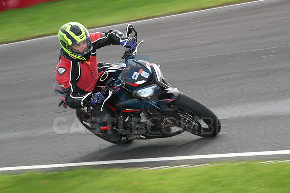 BIKES 0981