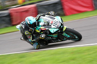 BIKES 2613