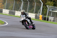 BIKES 0229