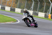 BIKES 0211