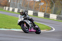 BIKES 0230