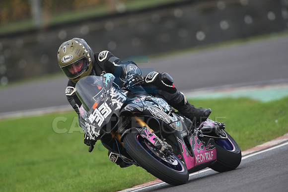 BIKES 1241