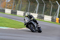 BIKES 0233