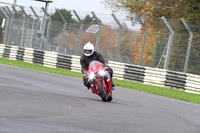 BIKES 0272