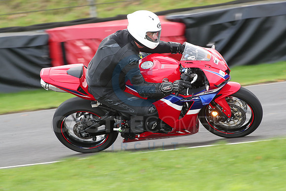 BIKES 0660