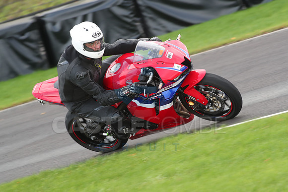 BIKES 0709