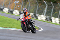 BIKES 0261